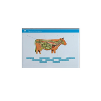 Стенд-планшет светодинамический "Изучение нервной системы сельскохозяйственных животных" со сменными панелями - «globural.ru» - Салават