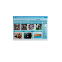 Стенд-планшет светодинамический «Острые отравления животных лекарственными препаратами» - «globural.ru» - Салават