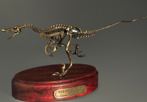 Модель скелета динозавра Velociraptor - «globural.ru» - Салават