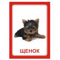 Логопедка "Щ, Х" (логопедические карточки) - «globural.ru» - Салават