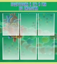 Стенд "Подготовка к ЕГЭ и ОГЭ по биологии" (вариант 1) - «globural.ru» - Салават