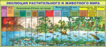 Стенд "Эволюция растительного и животного мира" - «globural.ru» - Салават