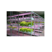 Обучающий комплект "АГРОкласс" - «globural.ru» - Салават