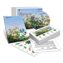 Комбинированное наглядное пособие «Растения» - «globural.ru» - Салават