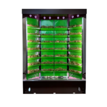 Вертикальная ферма "Моя Микрозелень" комплектация "Театро настольная" - «globural.ru» - Салават