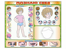 Стенд маркерный "Познаю себя" (тело, голова, органы чувств) - «globural.ru» - Салават