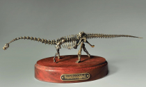 Модель скелета динозавра Diplodocus  (вариант 2) - «globural.ru» - Салават