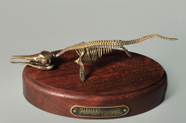 Модель скелета ихтиозавра Ichthyosaurus - «globural.ru» - Салават