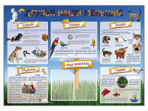 Стенд-уголок "Друзья наши меньшие" - «globural.ru» - Салават