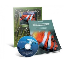 Электронное наглядное пособие «Рыбы. Земноводные. Пресмыкающиеся» - «globural.ru» - Салават