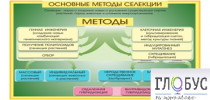 Стенд "Методы селекции и биотехнологии" - «globural.ru» - Салават