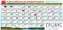 Стенд "Красная книга РФ" - «globural.ru» - Салават