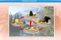 Интерактивные курсы. Биология 7 класс. Базовый - «globural.ru» - Салават