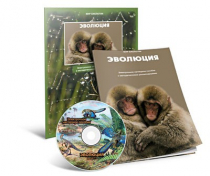 Электронное наглядное пособие «Эволюция» - «globural.ru» - Салават
