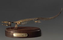 Модель скелета мозазавра Mosasaurus - «globural.ru» - Салават