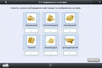 Интерактивные курсы. Биология 8 класс. Базовый  - «globural.ru» - Салават