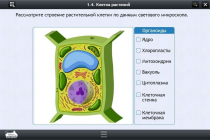 Интерактивные курсы. Биология 9 класс. Расширенный - «globural.ru» - Салават