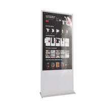 Интерактивный сенсорный киоск Nova 55" - «globural.ru» - Салават