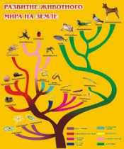 Стенд "Развитие животного мира на земле" - «globural.ru» - Салават