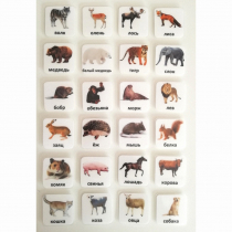 Набор карточек "ЖИВОТНЫЕ" - «globural.ru» - Салават