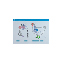 Стенд-планшет светодинамический "Изучение органов дыхания сельскохозяйственных животных" со сменными панелями - «globural.ru» - Салават