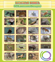 Стенд "Красная книга - млекопитающие" - «globural.ru» - Салават
