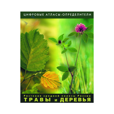 Растения средней полосы России "Травы и Деревья". (Цифровые атласы-определители) - «globural.ru» - Салават