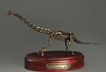 Модель скелета динозавра Brachiosaurus - «globural.ru» - Салават