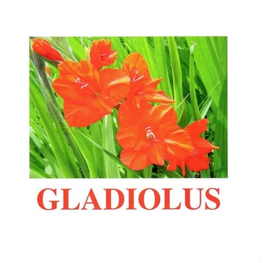 "Flowers-1" ("Цветы-1") английские карточки Домана - «globural.ru» - Салават
