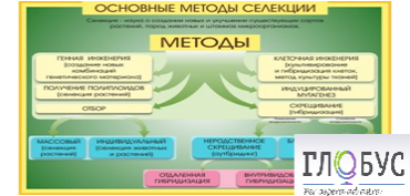 Стенд "Методы селекции и биотехнологии" - «globural.ru» - Салават