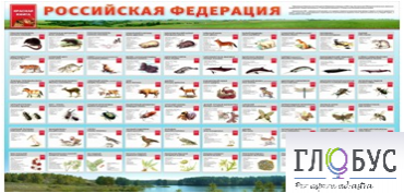 Стенд "Красная книга РФ" - «globural.ru» - Салават