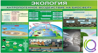 Стенд "Экология. Антропогенное воздействие на биосферу" - «globural.ru» - Салават