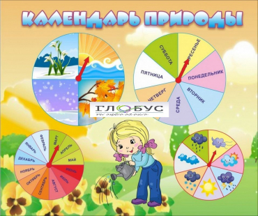 Стенд "Календарь природы" (вариант 1) - «globural.ru» - Салават