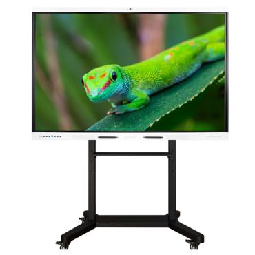 Интерактивный комплекс Geckotouch ​​​​​​​65RK - «globural.ru» - Салават
