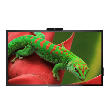 Интерактивная панель Geckotouch Interactive 65R - «globural.ru» - Салават