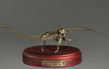 Модель скелета динозавра Diplodocus (вариант 1) - «globural.ru» - Салават