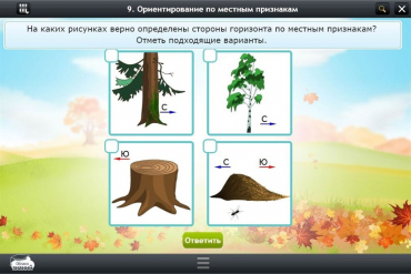 Интерактивные курсы. Окружающий мир 1 класс. Базовый - «globural.ru» - Салават