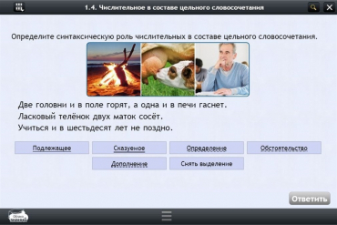 Интерактивные курсы. Русский язык 6 класс. Базовый - «globural.ru» - Салават
