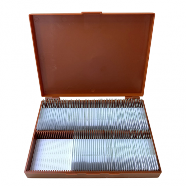 Комплект микропрепаратов по анатомии, ботанике, зоологии, общей биологии - «globural.ru» - Салават