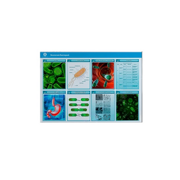 Стенд-планшет светодинамический «Изучение экологии бактерий» - «globural.ru» - Салават