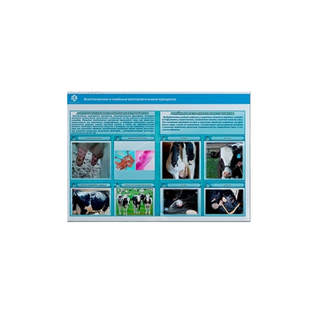 Стенд-планшет светодинамический «Изучение асептических и гнойных воспалительных процессов» - «globural.ru» - Салават